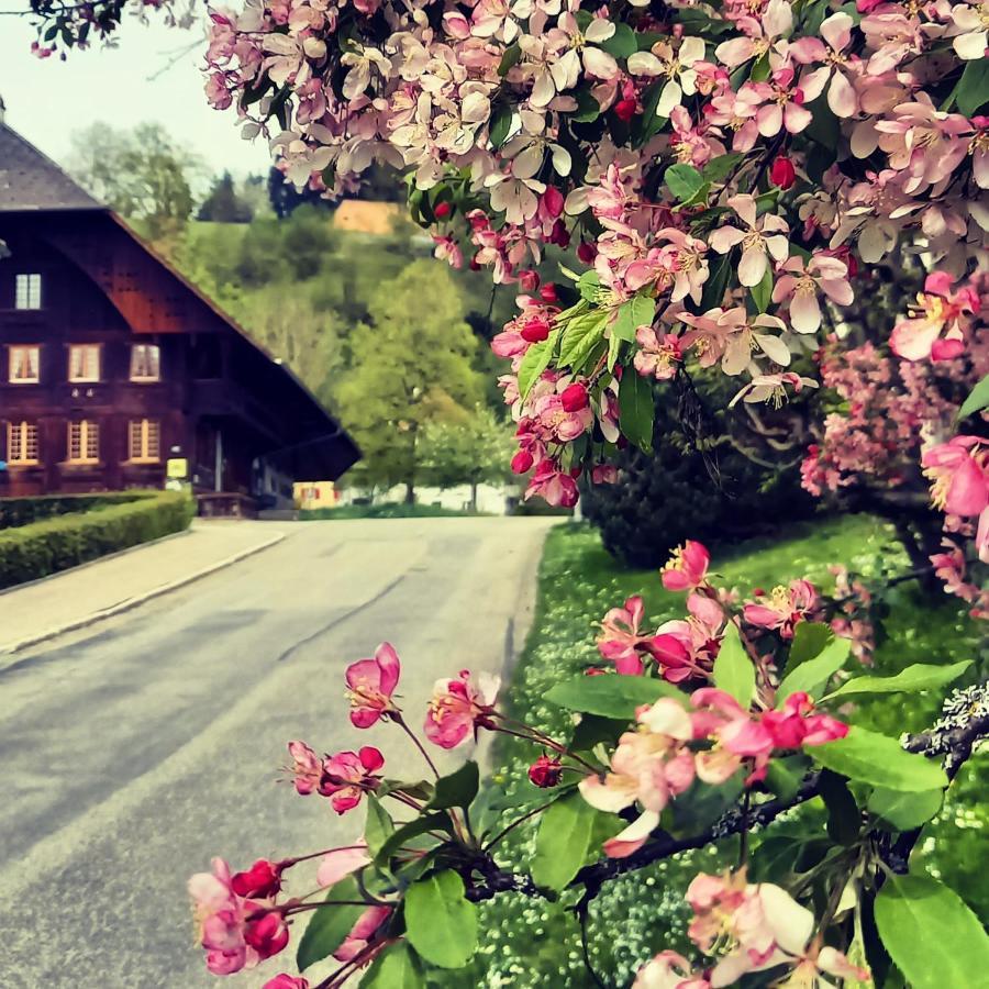 Emme Lodge Langnau Exteriér fotografie