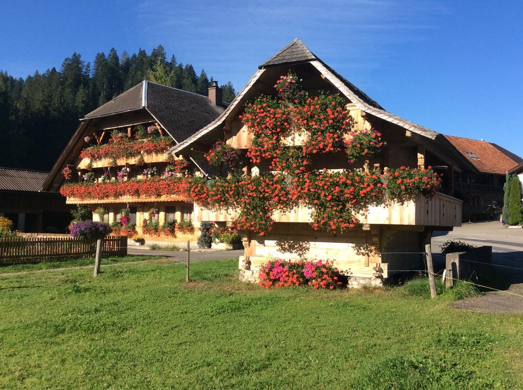 Emme Lodge Langnau Exteriér fotografie